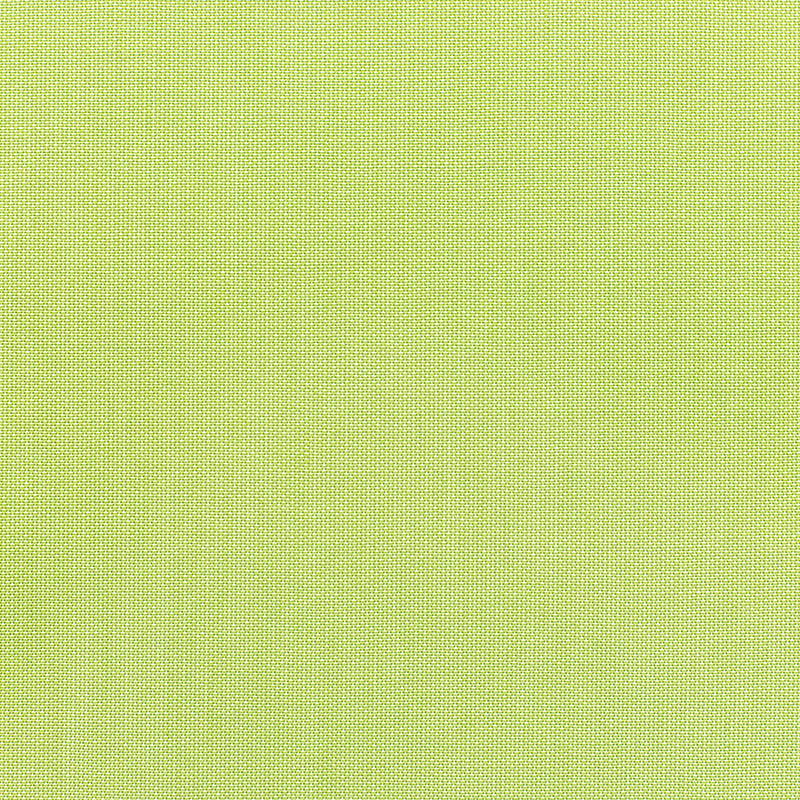 Sunbrella Canvas Parrot